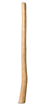 Medium Size Natural Finish Didgeridoo (TW1286)